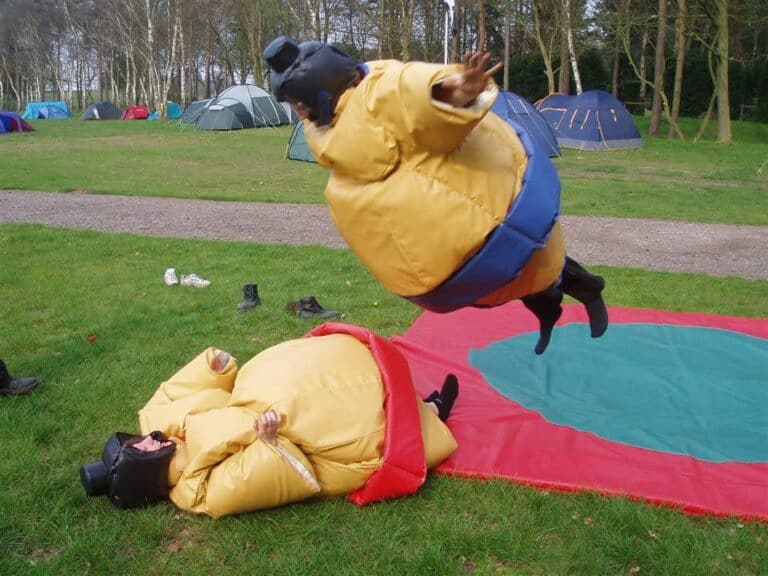 costumes sumo